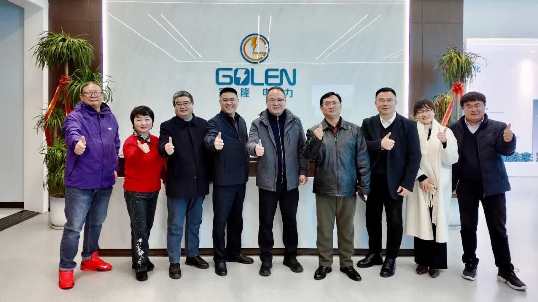 南京冠隆电力科技有限公司