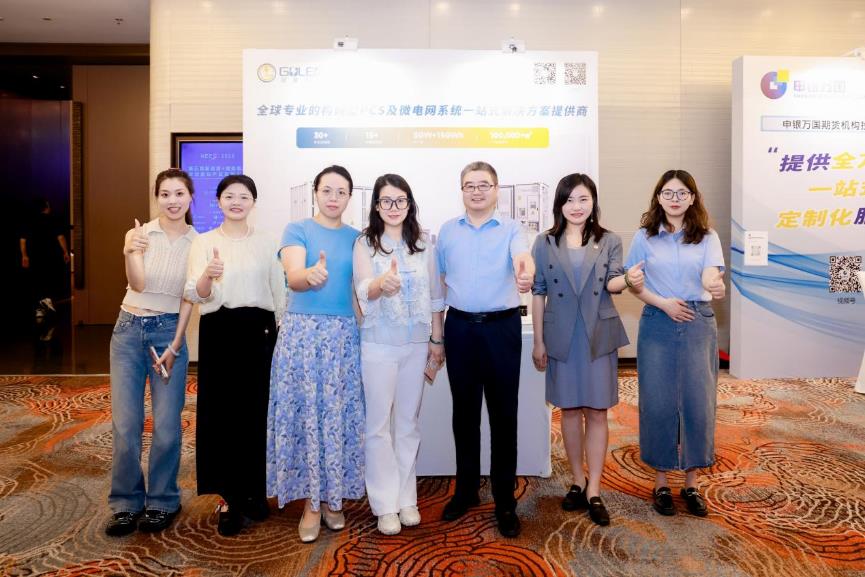 南京冠隆电力科技有限公司