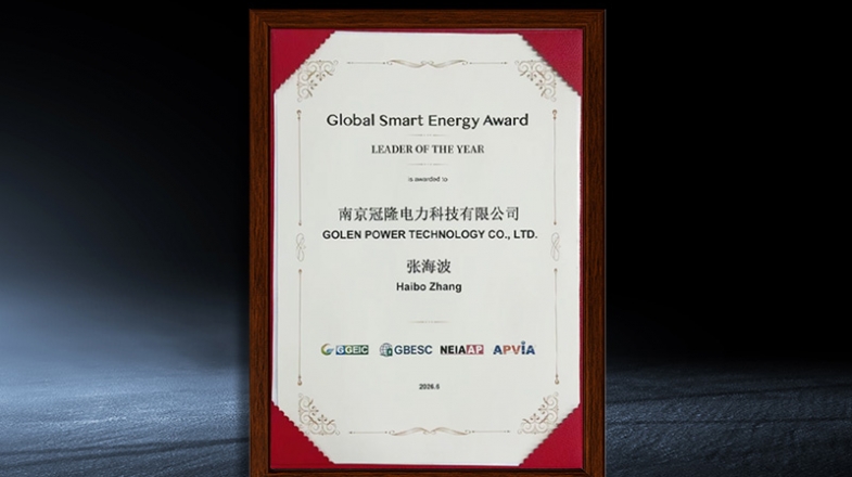 Global Smart Energy Award: LEADER OF THE YEAR